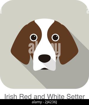 Irish Setter von roten und weißen Terrier Hund Gesicht Porträt, Vektor-illustration Stock Vektor