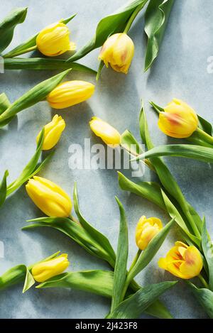 Tulpen auf hellem Hintergrund Stockfoto