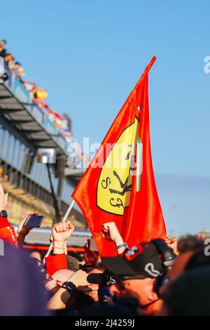 Melbourne, Victoria, Australien. 10. April 2022. MELBOURNE, AUSTRALIEN - 10. APRIL: Atmosphäre beim Formel-1-Grand-Prix von Australien 2022 am 10.. April 2022 (Bildquelle: © Chris Putnam/ZUMA Press Wire) Stockfoto