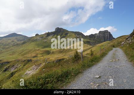 Wanderweg im Herbst in der Region Flumserberg in den Schweizer Alpen. Entlang des Weges gibt es Stangen und Drähte, da die Wiesen als Weiden für Kühe genutzt werden. Stockfoto