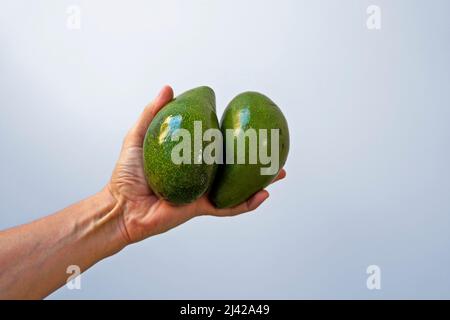 Zwei Avocados auf der Hand in einem hellen Hintergrund Stockfoto