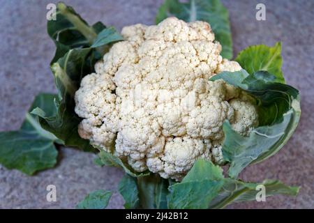 Frischer Blumenkohl auf Granit Hintergrund Stockfoto