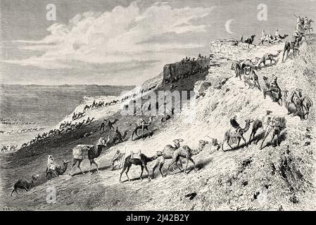 Karawane von Pilgern auf Kamelen auf dem Weg nach Nedjed, Saudi-Arabien. Wallfahrt nach Nedjed, Wiege der arabischen Rasse von Lady Anna Blunt 1878-1879, Le Tour du Monde 1882 Stockfoto