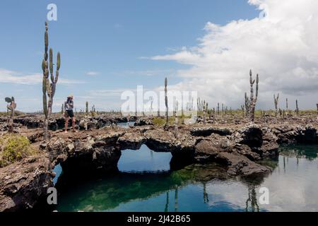 Touristen erkunden Las Tintoreras, eine kleine Inselkette voller Buchten und versteckter Strände. Stockfoto