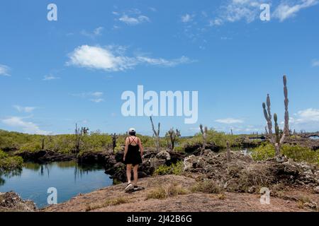 Touristen erkunden Las Tintoreras, eine kleine Inselkette voller Buchten und versteckter Strände. Stockfoto