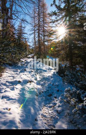 Herbstlichter mit erstem Schnee am Karwendel. Hochwertige Fotos Stockfoto