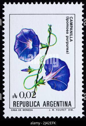 ARGENTINIEN - UM 1985: Eine in Argentinien gedruckte Marke zeigt Common Morning Glory, Ipomoea Purpurea, Blumenpflanze, um 1985 Stockfoto