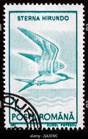 RUMÄNIEN - UM 1991: Eine in Rumänien gedruckte Briefmarke zeigt Gemeine Tern, Sterna Hirundo, Vogel, um 1991 Stockfoto