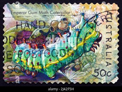 AUSTRALIEN - UM 2003: Eine in Australien gedruckte Marke zeigt Emperor Gum Moth Caterpillar, Opodiphthera Eucalypti, Insect, um 2003 Stockfoto