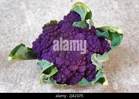 Lila Blumenkohl auf Granit Hintergrund Stockfoto