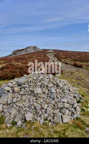 Der Höhenweg auf den Stiperstones, in der Nähe von Wentnor, Shropshire Stockfoto