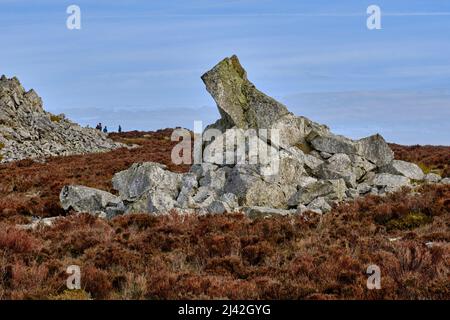 Quarzit-Aufschluss auf den Stiperstones zwischen Wentnor und Snailbeach, Shropshire Stockfoto