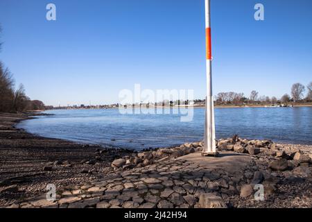 rheinufer bei Zuendorfer Groov im Bezirk Porz, Köln, Deutschland. Rheinufer an der Zuendorfer Groov im Stadtteil Porz, Weisser Rheinboden, Stockfoto