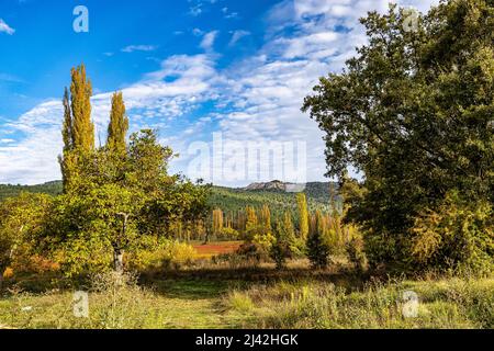 Herbstliche Weide, die im Naturpark der Serrania de Cuenca angebaut wird. Canamares. Castilla la Mancha. Spanien Stockfoto