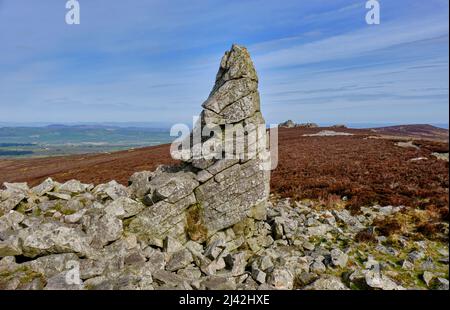 Aufsehen auf dem Manstone Rock, mit Blick auf den Devil's Chair, Stiperstones, Shropshire Stockfoto