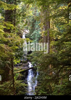 Marymere Falls im Olympic National Park, USA Stockfoto