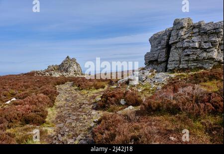 Der Grat Weg in Richtung der Devil's Chair, Stiperstones, Shropshire Stockfoto