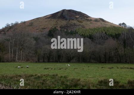 Dol-y-Fan Hill, Powys, Wales, Großbritannien Stockfoto