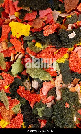 Trockene bunte Fischfutterflocken. Draufsicht Stockfoto