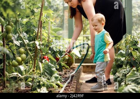 Die junge Frau lehrt ihr Kind Wassertomatenpflanzen im Gewächshaus Stockfoto