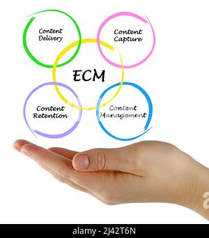 Komponenten von Enterprise Content Management Stockfoto