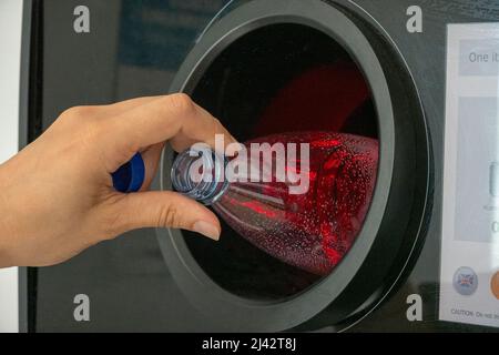 Verkaufsautomat mit Gegenverkaufsautomaten. Frau legte eine leere Plastikflasche in die Maschine. Rückverkaufsautomat für die Erstattung und das Recycling von Metallgetränkedänkchen Stockfoto