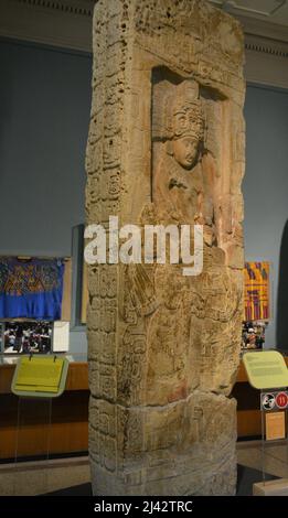 Stela 14 des Piedras Negras Guatemala, Museum der Penn State University Stockfoto