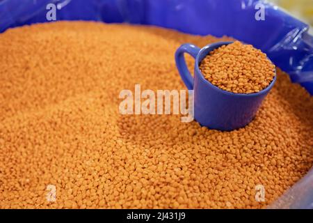 Nahaufnahme von orangen Linsen in Behälter mit blauer Tasse Stockfoto