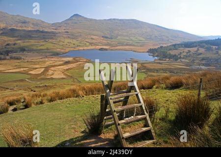 Yr Aran und Llyn y Gader vom Nantlle Ridge, Snowdonia Stockfoto