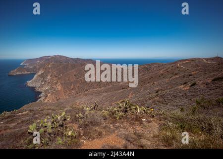 Beim Wandern auf dem Trans Catalina Trail blicken wir zurück in Richtung zweier Häfen. Stockfoto