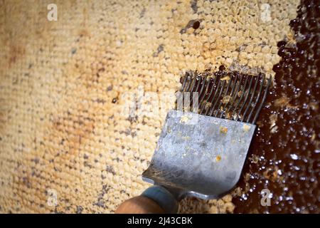 Hintergrund entkorken Wabe mit einer Gabel Stockfoto