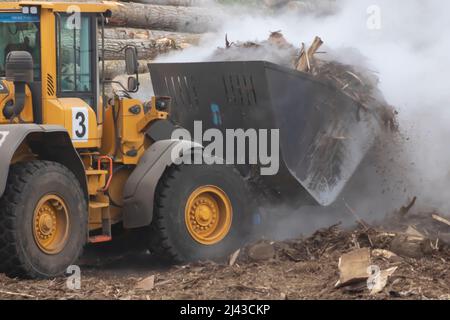 Schwerer Maschinenlader in einem Sägewerk Stockfoto