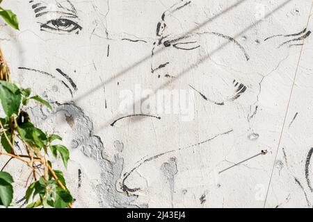 Helle Betonwand mit Rissen, Kratzern, mit Holzkohle-Anstrich, beleuchtet von der Sommersonne, beschädigte Textur Stockfoto