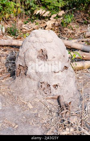 Termiten Nest Hügel, riesige Termiten Stockfoto