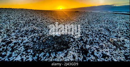 Playa del Bajo de la Burra, Popcorn Beach, Fuerteventura bei Sonnenuntergang Stockfoto