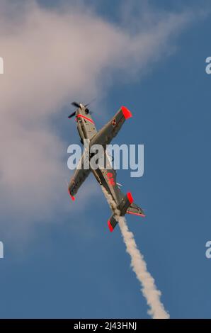 Gdynia, Polen - 21. August 2021: Flug des polnischen Kunstflugteams der Luftwaffe Orlik auf der Aero Baltic Show in Gdynia, Polen. Stockfoto