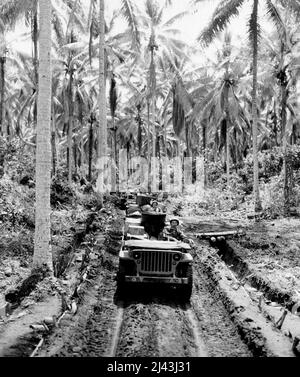 Ein Konvoi von Jeeps, der während einer seiner täglichen Fahrten mit Post und Lieferungen an die in Neuguinea stationierten amerikanischen Truppen gezeigt wurde. 28. März 1943. (Foto von Signal Corps U.S. Army). Stockfoto