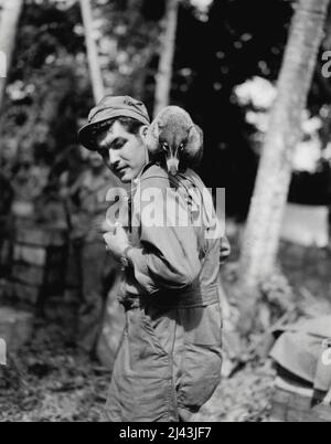 Sergeant Frankie Chambers, Stillwell, Oklahome, fotografiert mit seinem Honigbären Speedy auf Kiriwina Island in den Trobriands. 'Speedy' begleitete die amerikanischen Truppen, die die Südpazifik-Insel besetzten. 25. Juli 1943. (Foto von Signal Corps U.S. Army). Stockfoto