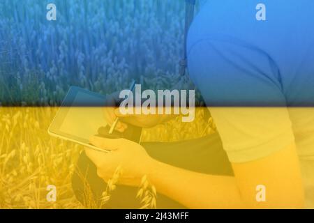 Digitale Farm der Ukraine. Porträt eines Bauern, der in einem goldenen Weizenfeld sitzt und auf einem Tablet schreibt. Junger Mann mit Cowboyhut auf dem Feld, der Weizenernte untersucht Stockfoto