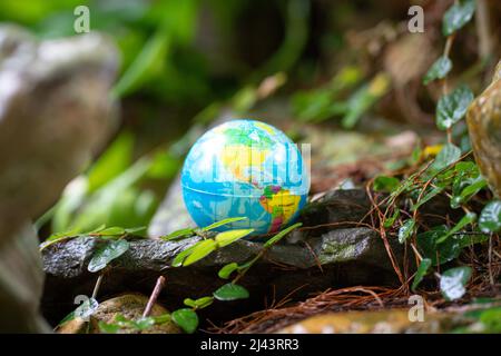 Globus umgeben von grüner Laub Natur. Rette den Planeten und das Schutzkonzept. Stockfoto