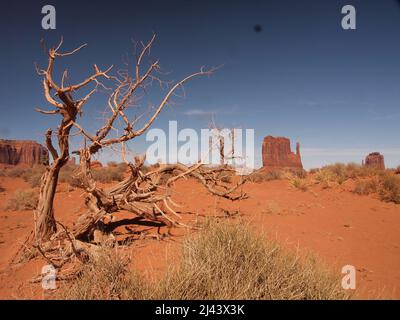 Monument Valley im Norden von Arizona und im Süden von Utah in der Navajo Nation. Spektakuläre Stätte, die in amerikanischen Western-Filmen berühmt wurde. Stockfoto