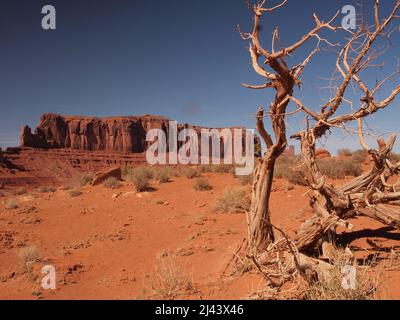 Monument Valley im Norden von Arizona und im Süden von Utah in der Navajo Nation. Spektakuläre Stätte, die in amerikanischen Western-Filmen berühmt wurde. Stockfoto