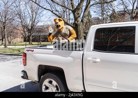 University Park - 2. April 2022: Penn State Nittany Lion Mascot, der in einem Pick-up-Truck um den Campus fährt, winkt Studenten und Eltern an Stockfoto