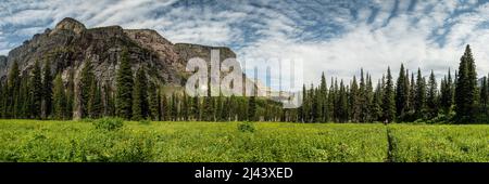 Panorama von Wanderern in Meadow unterhalb des Angel Wing Peak im Glacier National Park Stockfoto