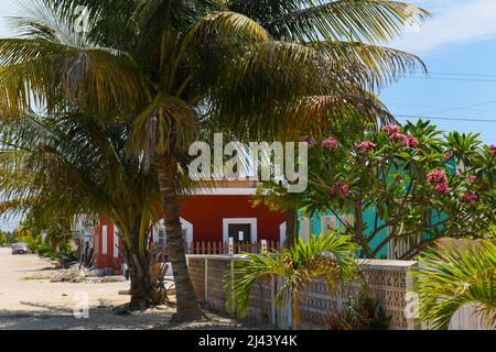 Kleine Strandstadt Chuburna, Küste Yucatan, Mexiko Stockfoto