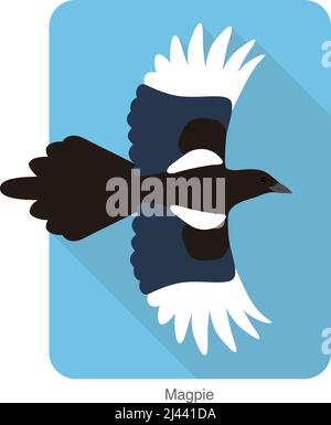 Elster-Vogel, der am Himmel fliegt, Vektorgrafik Stock Vektor