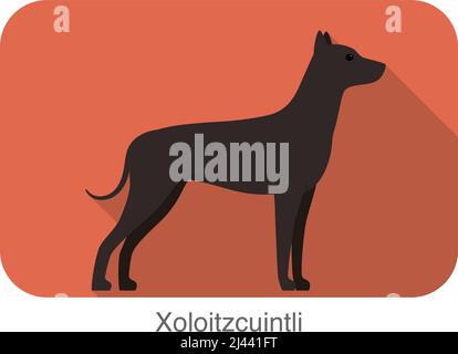 Haarloser Hund Xoloitzcuintli stehen und beobachten, Vektor-Illustration Stock Vektor