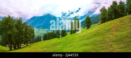 Panoramalandschaft mit Gras und Bergen. Panoramablick auf die Berge, Wolken und blauen Himmel. Schöne Wiesen auf den Spuren des Kaschmir Great Lake Stockfoto