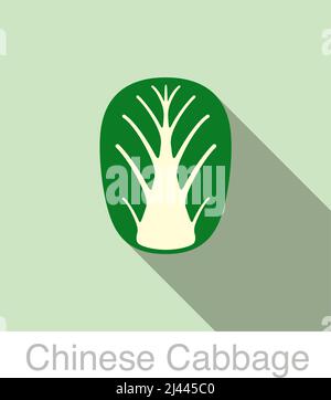 Chinakohl Gemüse essen flach Symbol Vektor-illustration Stock Vektor