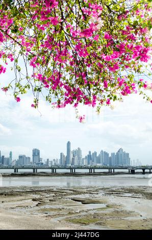 Die Skyline von Panama City, von Casco Antiguo aus gesehen Stockfoto